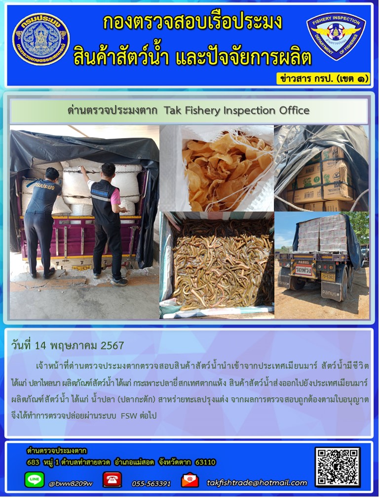 วันที่ 14 พฤษภาคม 2567           เจ้าหน้าที่ด่านตรวจประมงตากตรวจสอบสินค้าสัตว์น้ำนำเข้าจากประเทศเมียนมาร์ สัตว์น้ำมีชีวิต ได้แก่ ปลาไหลนา ผลิตภัณฑ์สัตว์น้ำ ได้แก่ กระเพาะปลายี่สกเทศตากแห้ง สินค้าสัตว์น้ำส่งออกไปยังประเทศเมียนมาร์ ผลิตภัณฑ์สัตว์น้ำ ได้แก่ น้ำปลา (ปลากะตัก) สาหร่ายทะเลปรุงแต่ง จากผลการตรวจสอบถูกต้องตามใบอนุญาต จึงได้ทำการตรวจปล่อยผ่านระบบ FSW ต่อไป..คลิก