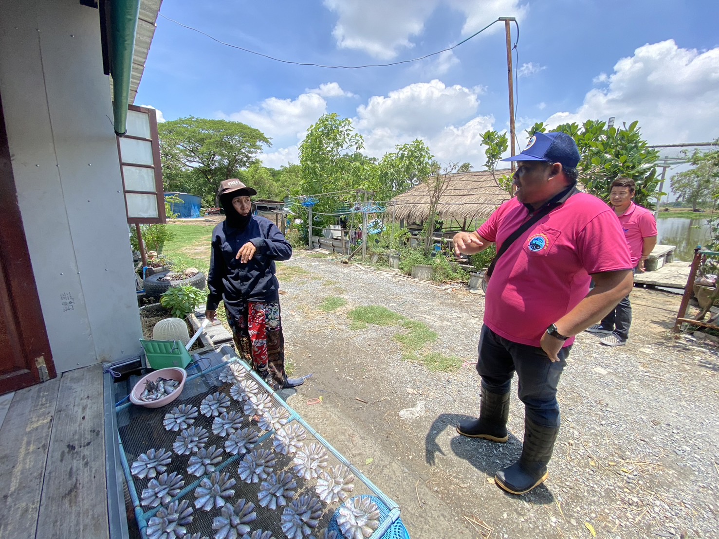 สำนักงานประมงพื้นที่กรุงเทพมหานคร ลงพื้นที่ติดตามสถานการณ์น้ำ เนื่องจากเหตุฝนตกหนัก และให้บริการแก่เกษตรกร