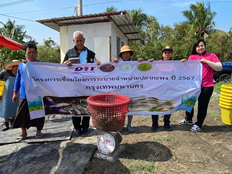 สำนักงานประมงพื้นที่กรุงเทพมหานคร ดำเนินการติดตามการซื้อขายปลากะพง ในโครงการเชื่อมโยงการระบายจำหน่ายปลากะพง ปี 2567