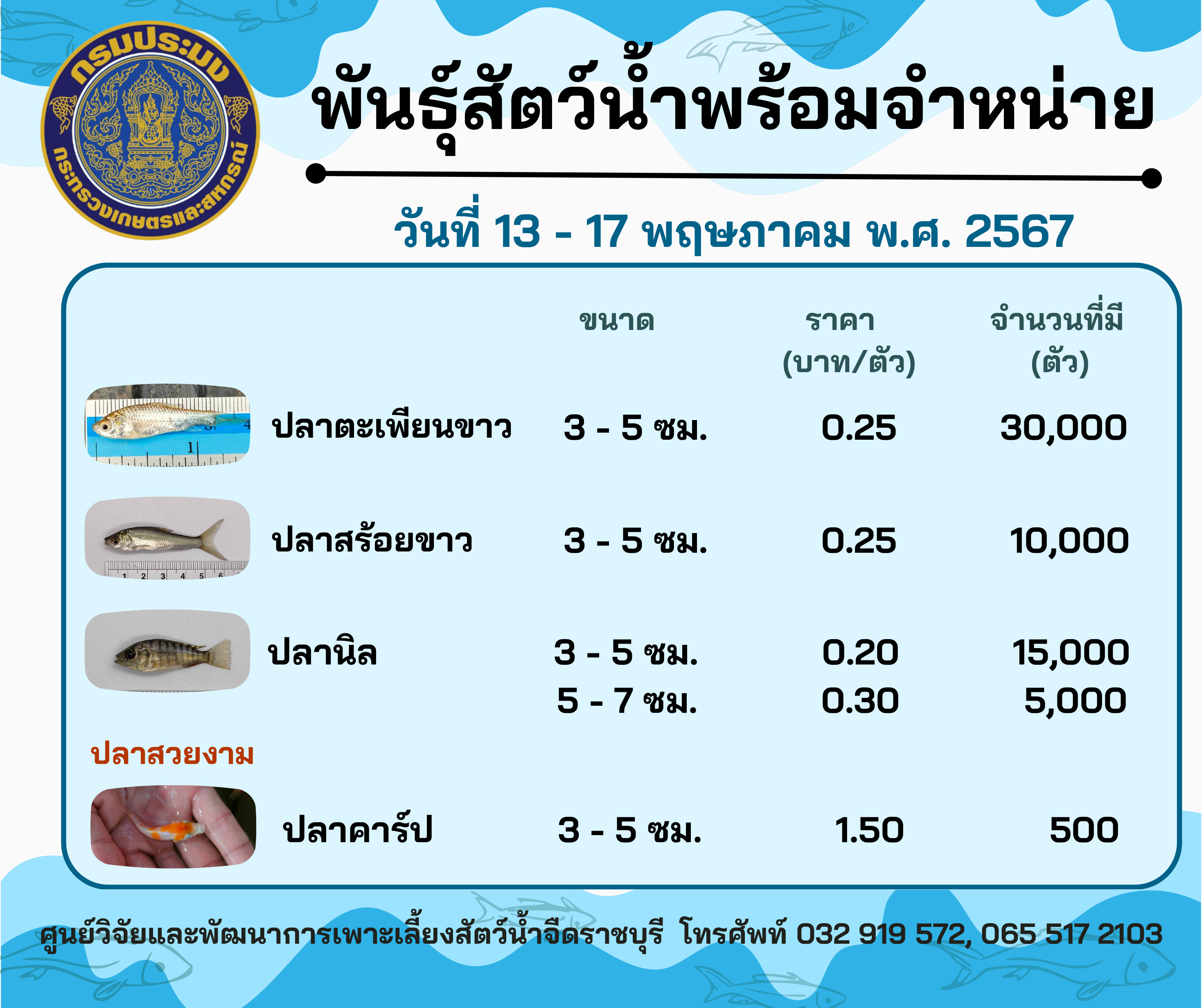 ลูกพันธุ์สัตว์น้ำพร้อมจำหน่ายสัปดาห์นี้ วันที่ 13 - 17 พฤษภาคม พ.ศ. 2567