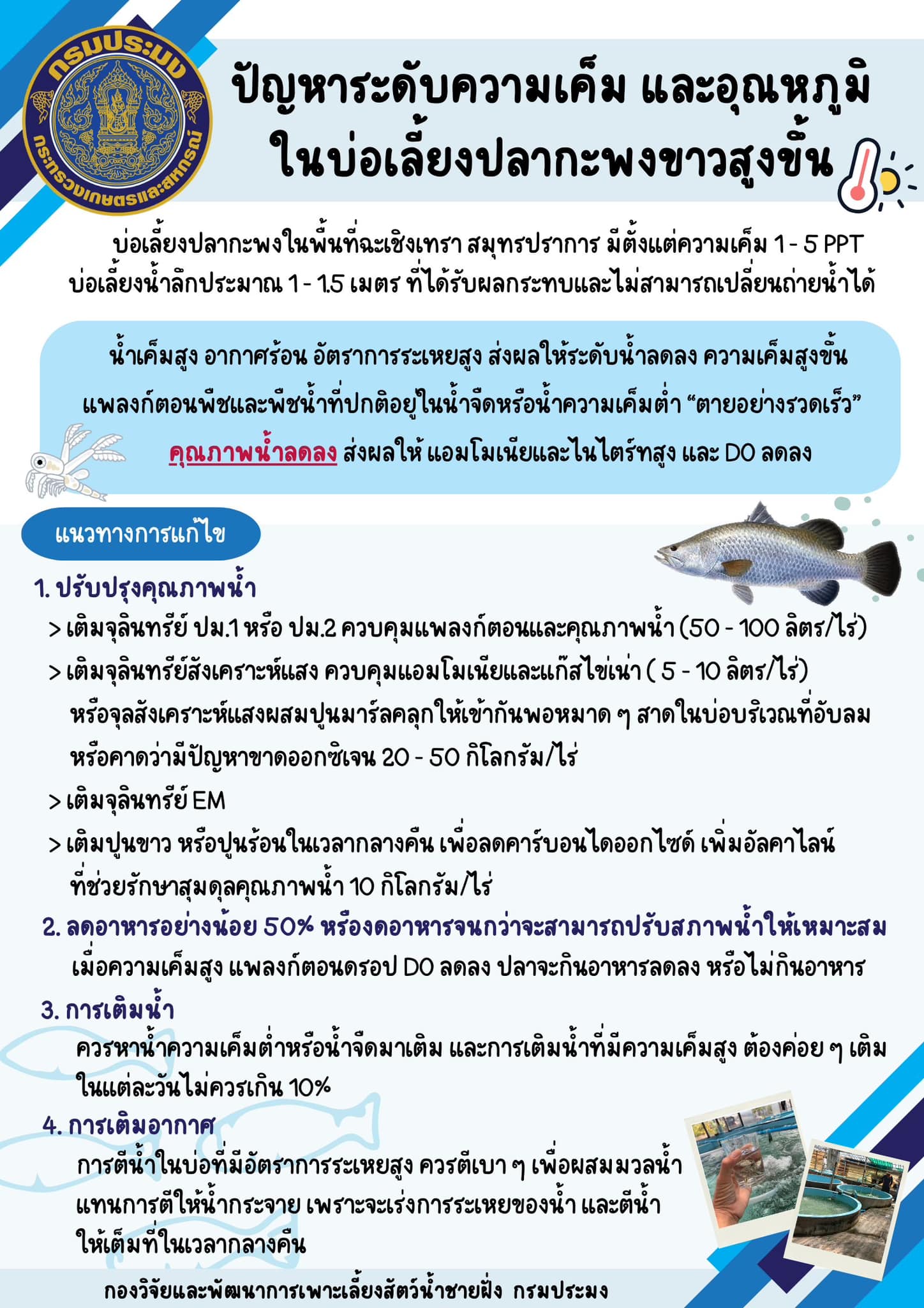 ปัญหาระดับความเค็ม และอุณหภูมิในบ่อเลี้ยงปลากะพงขาวสูงขึ้น..คลิก