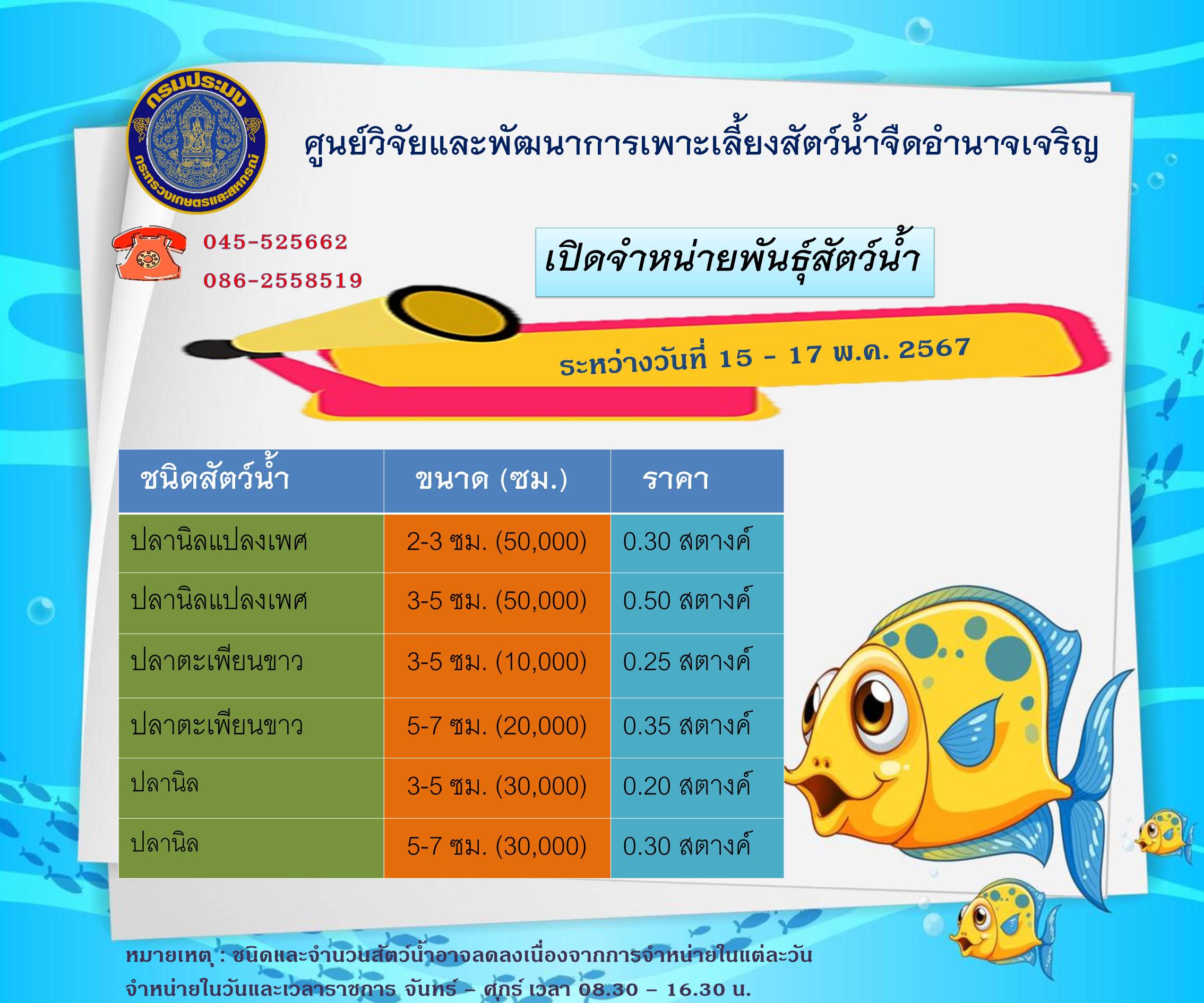 พันธุ์สัตว์น้ำที่จำหน่าย ประจำวันที่ 15-17 พ.ค. 2567 ติดต่อสอบถาม 045-525662,086-2558519