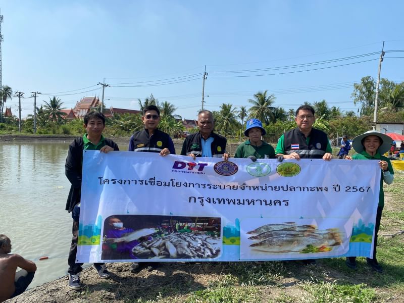สำนักงานประมงพื้นที่กรุงเทพมหานคร ดำเนินการติดตามการซื้อขายปลากะพง ในโครงการเชื่อมโยงการระบายจำหน่ายปลากะพง ปี 2567
