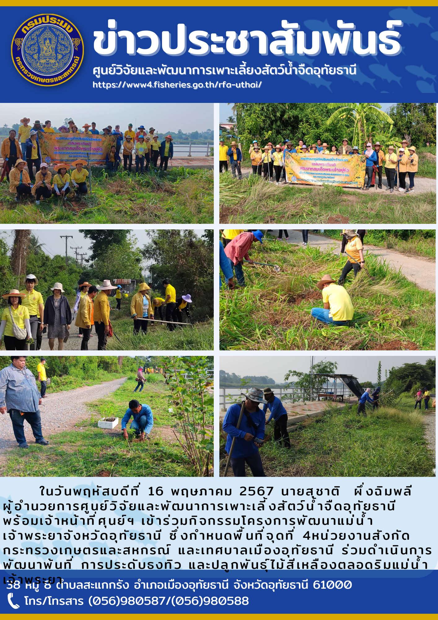 ในวันพฤหัสบดีที่ 16 พฤษภาคม 2567 นายสุชาติ  ผึ่งฉิมพลี  ผู้อำนวยการศูนย์วิจัยและพัฒนาการเพาะเลี้งสัตว์น้ำจืดอุทัยธานี พร้อมเจ้าหน้าที่ศูนย์ฯ เข้าร่วมกิจกรรมโครงการพัฒนาแม่น้ำเจ้าพระยาจังหวัดอุทัยธานี ซึ่งกำหนดพื้นที่จุดที่ 4หน่วยงานสังกัดกระทรวงเกษตรและสหกรณ์ และเทศบาลเมืองอุทัยธานี ร่วมดำเนินการพัฒนาพ้นที่