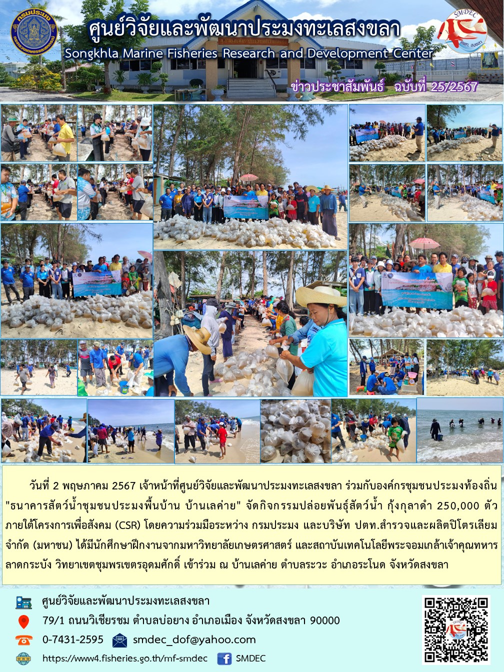 วันที่ 2 พฤษภาคม 2567 เจ้าหน้าที่ศูนย์วิจัยและพัฒนาประมงทะเลสงขลา ร่วมกับองค์กรชุมชนประมงท้องถิ่นบ้านเลค่าย จัดกิจกรรมปล่อยพันธุ์สัตว์น้ำ..คลิก