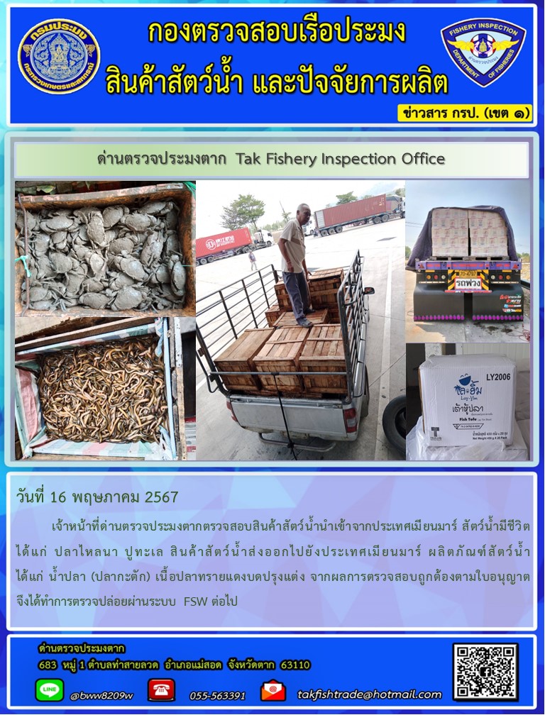 วันที่ 16 พฤษภาคม 2567           เจ้าหน้าที่ด่านตรวจประมงตากตรวจสอบสินค้าสัตว์น้ำนำเข้าจากประเทศเมียนมาร์ สัตว์น้ำมีชีวิต ได้แก่ ปลาไหลนา ปูทะเล สินค้าสัตว์น้ำส่งออกไปยังประเทศเมียนมาร์ ผลิตภัณฑ์สัตว์น้ำ ได้แก่ น้ำปลา (ปลากะตัก) เนื้อปลาทรายแดงบดปรุงแต่ง จากผลการตรวจสอบถูกต้องตามใบอนุญาต จึงได้ทำการตรวจปล่อยผ่านระบบ FSW ต่อไป..คลิก