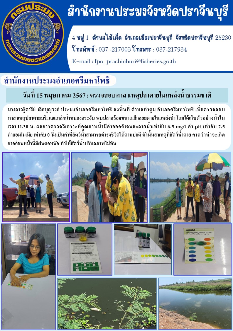 ข่าวประชาสัมพันธ์ สำนักงานประมงอำเภอศรีมหาโพธิ ลงพื้นที่ ตำบลท่าตูม อำเภอศรีมหาโพธิ เพื่อตรวจสอบหาสาเหตุปลาตายบริเวณแหล่งน้ำหนองกระจับ พบปลาสร้อยขนาดเล็กลอยตายในแหล่งน้ำ..คลิก
