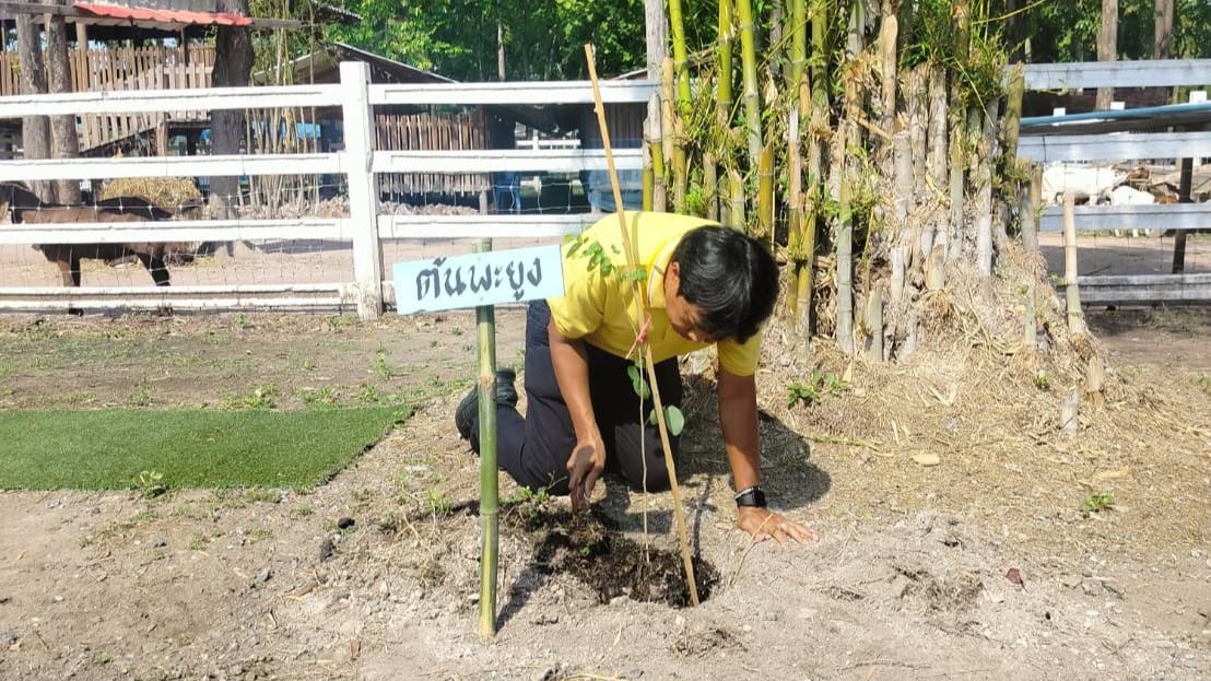 โครงการร่วมใจภักดิ์ รักษ์สิ่งแวดล้อม เฉลิมพระเกียรติพระบาทสมเด็จพระเจ้าอยู่หัว เนื่องในโอกาสพระราชพิธีมหามงคลเฉลิมพระชนมพรรษา 6 รอบ 28 กรกฎาคม 2567..คลิก