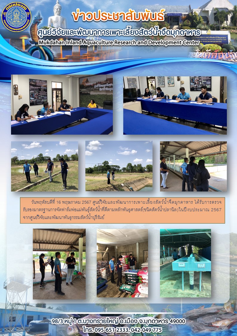 *****วันพฤหัสบดีที่ 16 พฤษภาคม 2567 ศูนย์วิจัยและพัฒนาการเพาะเลี้ยงสัตว์น้ำจืดมุกดาหาร ได้รับการตรวจรับรองมาตรฐานการจัดฟาร์มพ่อแม่พันธุ์สัตว์น้ำที่ดีตามหลักพันธุศาสตร์(ชนิดสัตว์น้ำปลานิล)ในปีงบประมาณ 2567 จากศูนย์วิจัยและพัฒนาพันธุกรรมสัตว์น้ำบุรีรัมย์..คลิก
