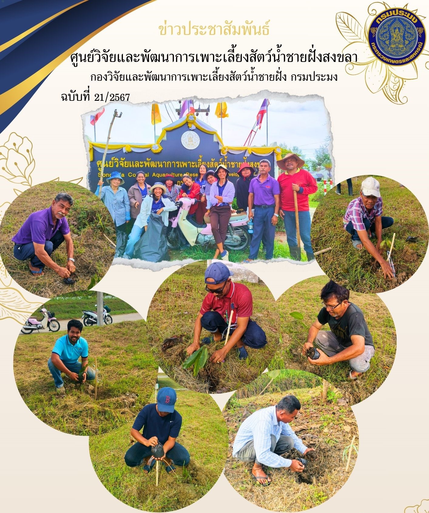 วันที่ 17 พฤษภาคม 2567 นางสาวปริศนา คลิ้งสุขคล้าย ผู้อำนวยการศูนย์วิจัยและพัฒนาการเพาะเลี้ยงสัตว์น้ำชายฝั่งสงขลา พร้อมด้วยข้าราชการ และเจ้าหน้าที่ของศูนย์ฯ ร่วมกันทำกิจกรรมวันต้นไม้ประจำปีของชาติ..คลิก