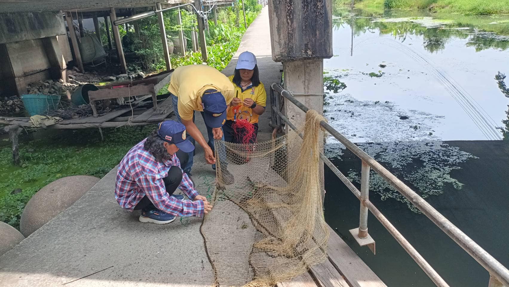 ลงพื้นที่ อำเภอดำเนินสะดวก เพื่อสำรวจการแพร่ระบาดของปลาหมอสีคางดำ