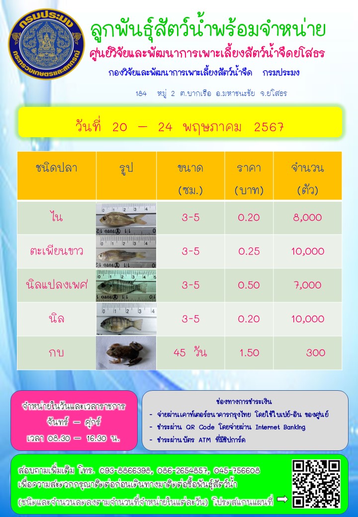 ลูกพันธุ์สัตว์น้ำพร้อมจำหน่าย 20 - 24 พ.ค. 2567..คลิก