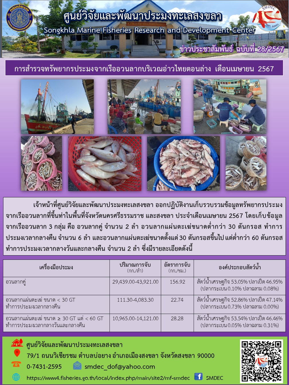 เจ้าหน้าที่ศูนย์วิจัยและพัฒนาประมงทะเลสงขลา ออกปฏิบัติงานเก็บรวบรวมข้อมูลทรัพยากรประมงจากเรืออวนลากที่ขึ้นท่าในพื้นที่จังหวัดนครศรีธรรมราช และสงขลา ประจำเดือนเมษายน 2567..คลิก