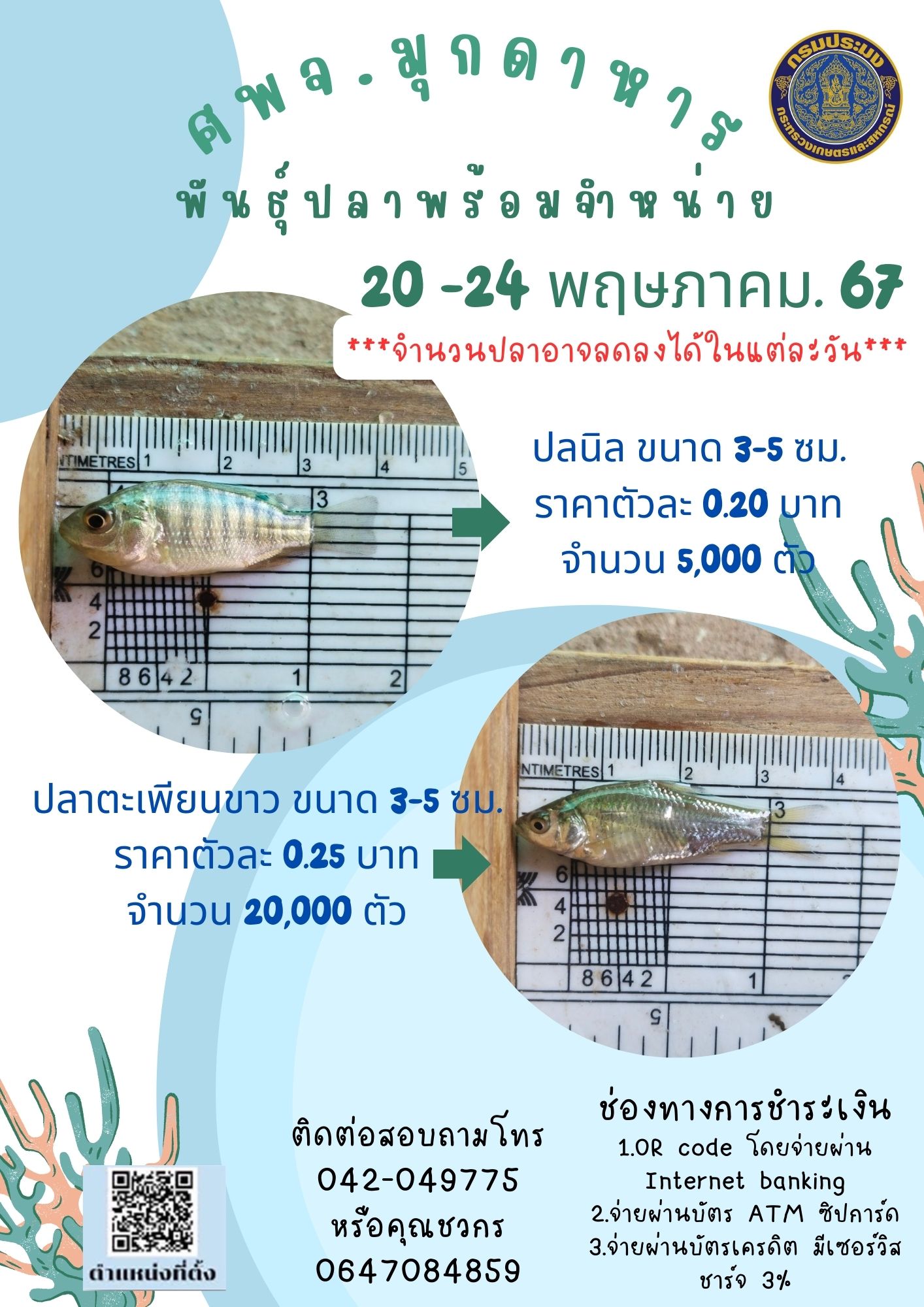 ลูกพันธุ์สัตว์น้ำพร้อมจำหน่าย 20-24 พฤษภาคม 2567..คลิก