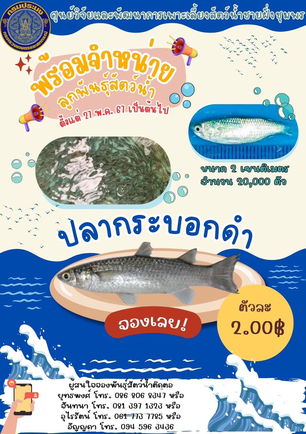 ศพช.ชุมพร ขอประชาสัมพันธ์สัตว์น้ำพร้อมจำหน่าย..คลิก