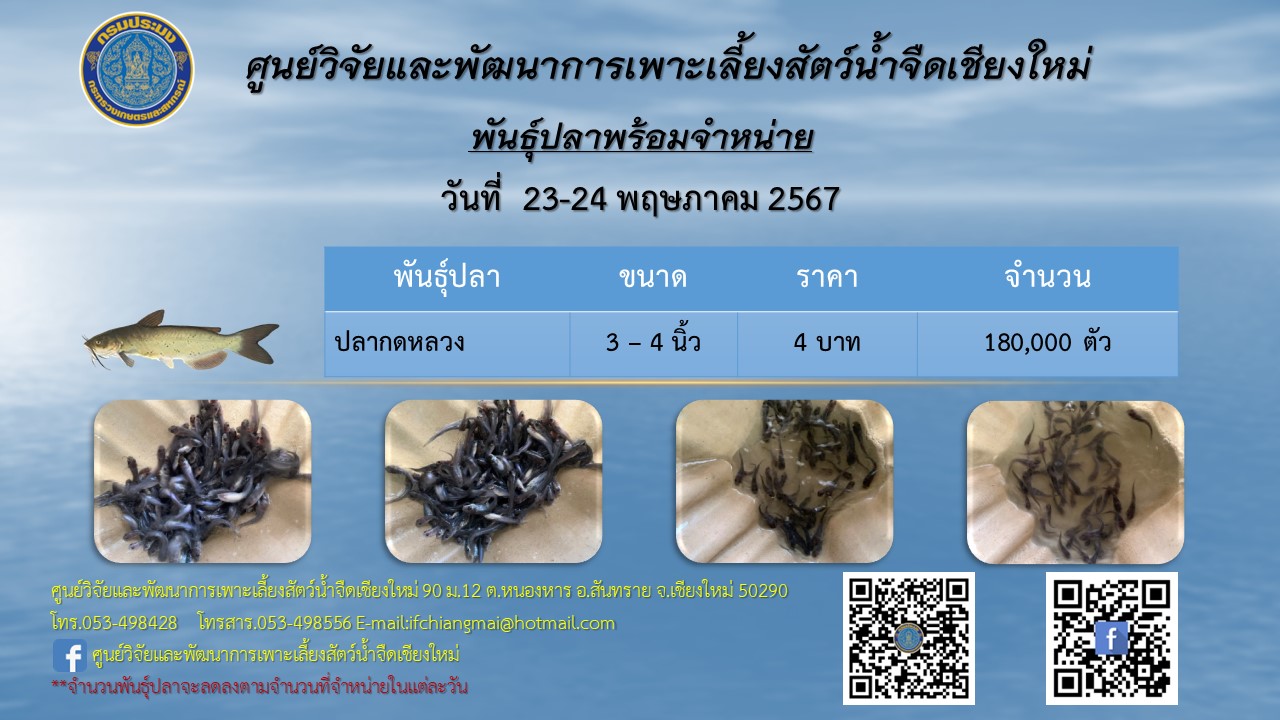 พันธุ์ปลาพร้อมจำหน่าย วันที่ 23-24 พฤษภาคม 2567