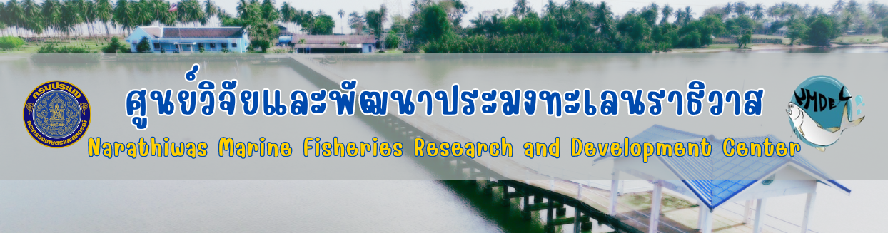 banner..คลิก