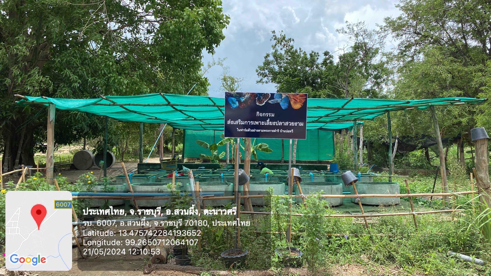 ลงพื้นที่ฟาร์มตัวอย่างตามแนวพระราชดำริบ้านบ่อหวี..คลิก
