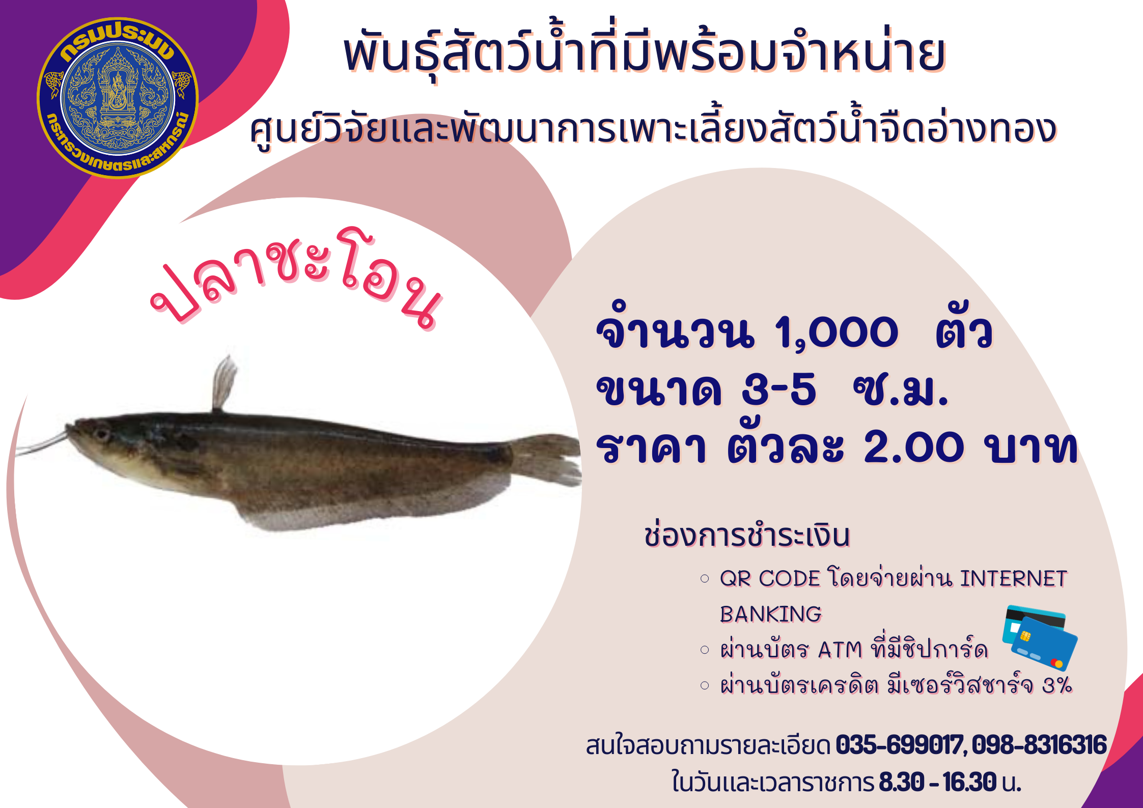 พันธุ์สัตว์น้ำที่มีพร้อมจำหน่าย