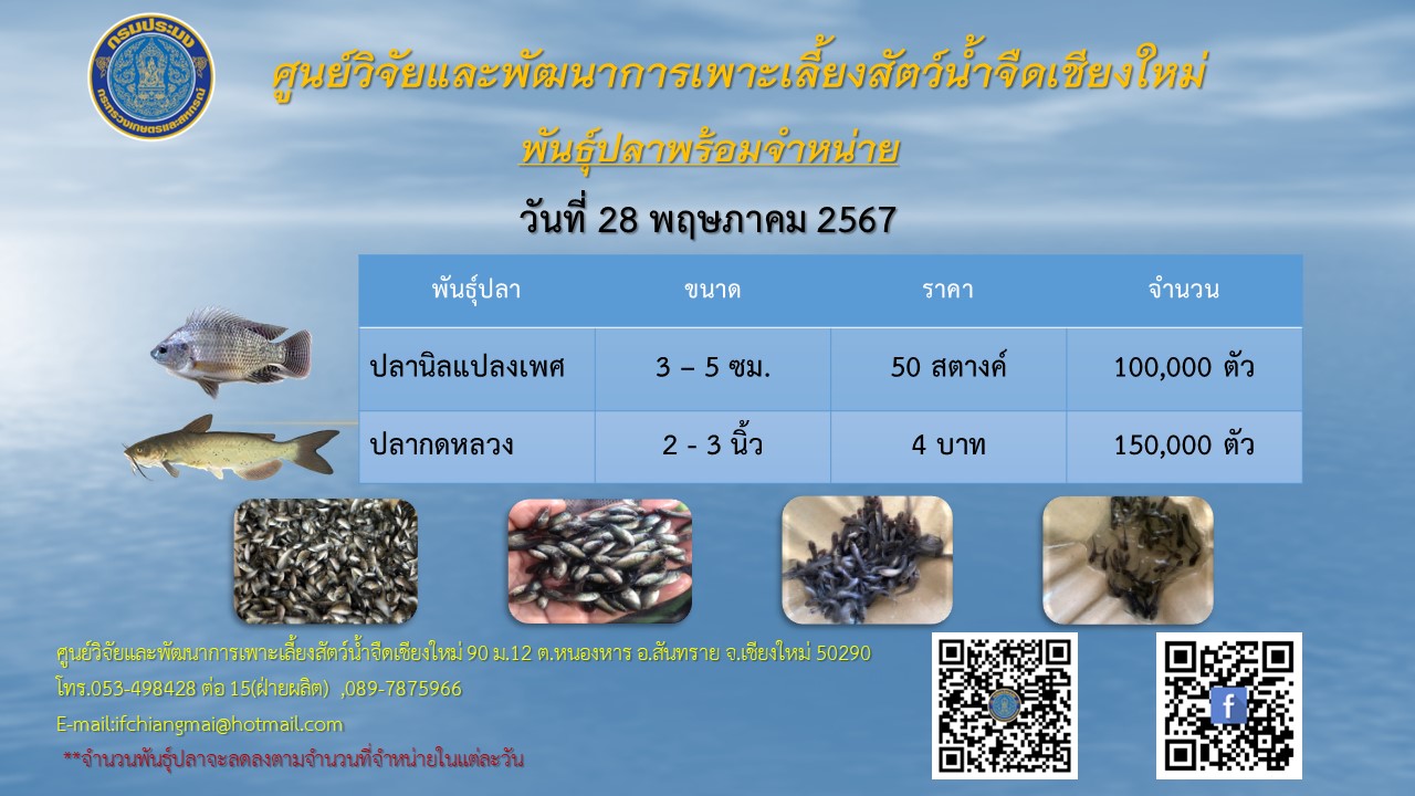 พันธุ์ปลาพร้อมจำหน่าย วันที่ 28 พฤษภาคม 2567
