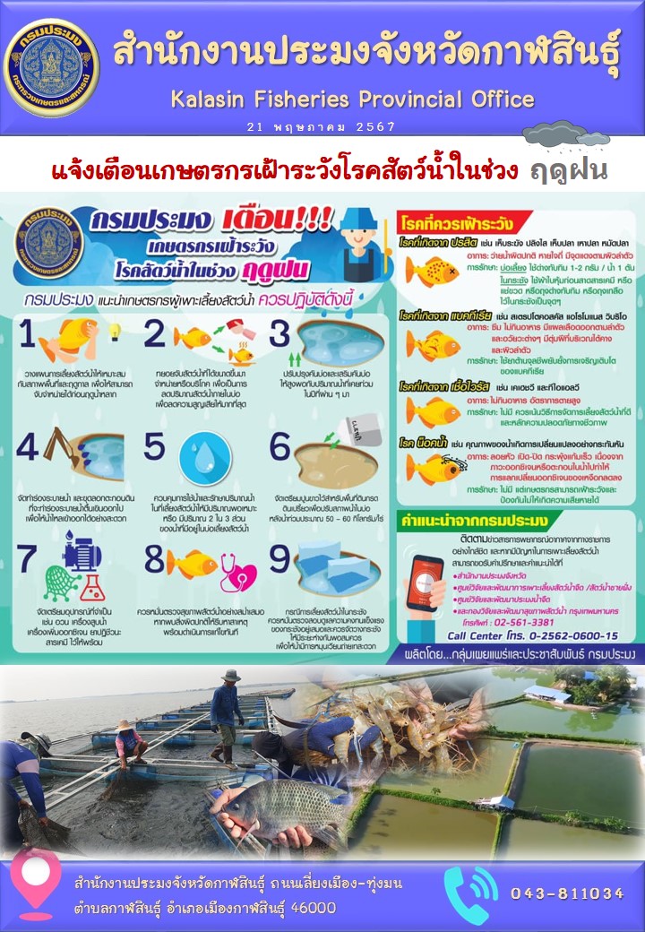 แจ้งเตือนเกษตรกรเฝ้าระวังโรคสัตว์น้ำในช่วง ฤดูฝน..คลิก