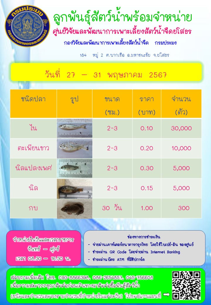 ลูกพันธุ์สัตว์น้ำพร้อมจำหน่าย 27 - 31 พ.ค. 2567