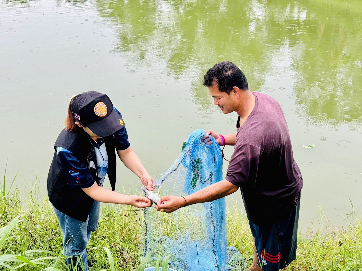 ตรวจประเมิน และตรวจต่ออายุฟาร์มเพาะเลี้ยงสัตว์น้ำ ตามมาตรฐานการปฏิบัติทางการเพาะเลี้ยงสัตว์น้ำที่ดี (Good Aquaculture Practice; GAP) หรือ จี เอ พี จำนวน 3 ฟาร์ม..คลิก