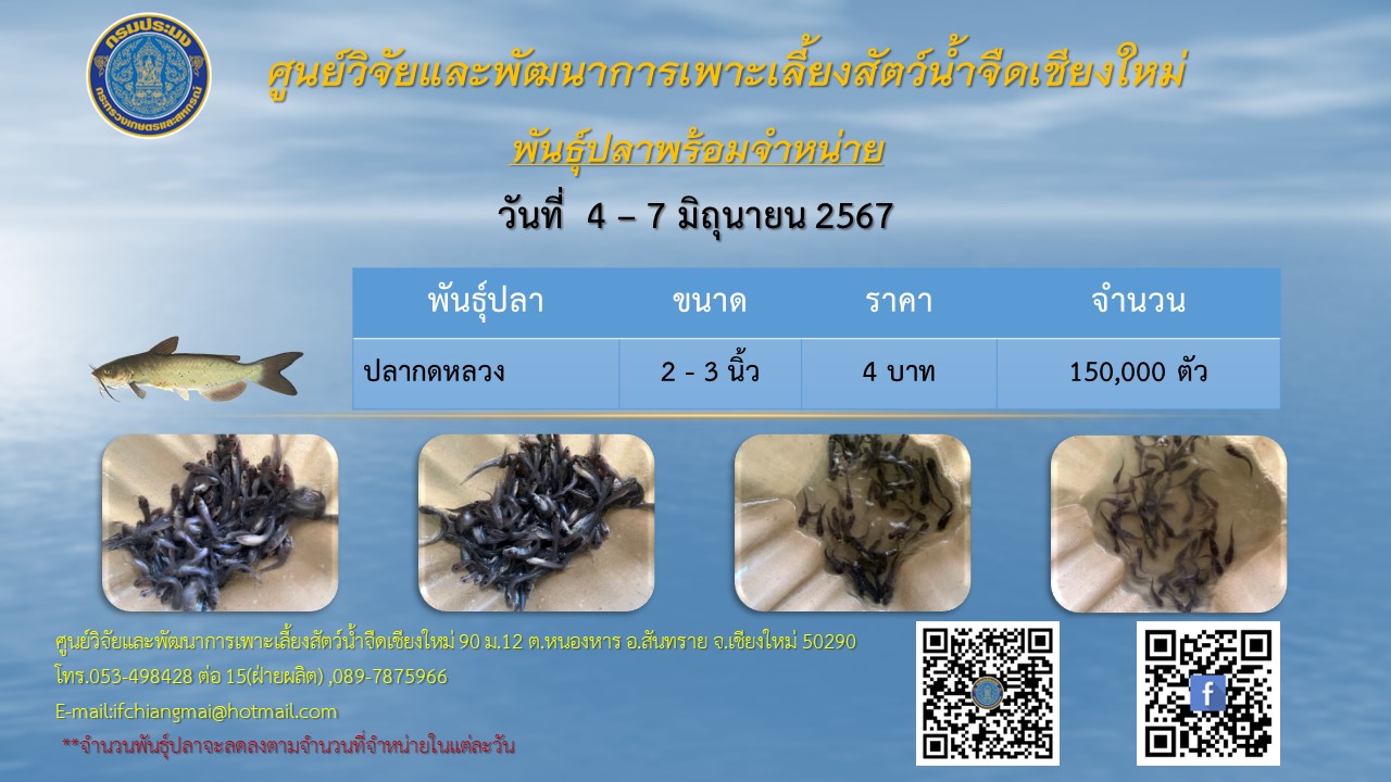 พันธุ์ปลาพร้อมจำหน่าย วันที่ 4-7 มิถุนายน 2567