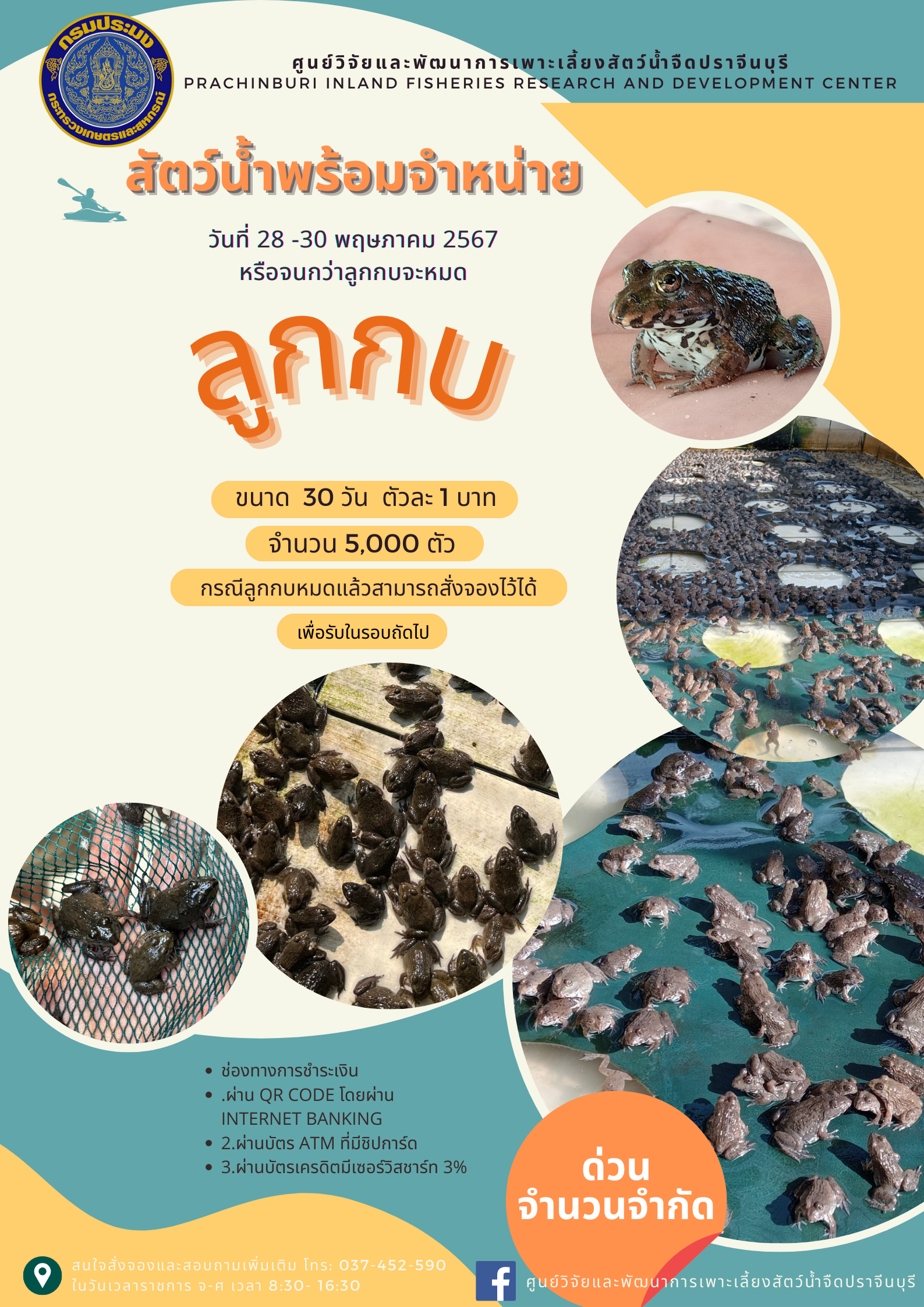 สัตว์น้ำพร้อมจำหน่าย..คลิก