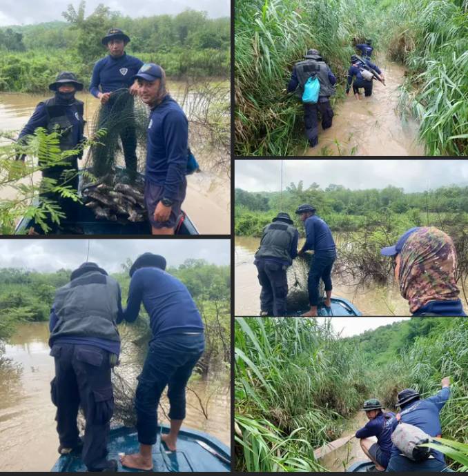 ออกปฏิบัติงานควบคุมและปราบปรามในช่วงฤดูปลาน้ำจืดมีไข่ หรือวางไข่ และเลี้ยงตัวอ่อน ระหว่างวันที่ 24-27 พ.ค. 2567..คลิก