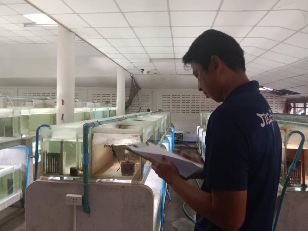 ลงพื้นที่เพื่อดำเนินการตรวจประเมินเพื่อขอหนังสือรับรองสถานที่ทำการเพาะเลี้ยงสัตว์น้ำชนิดที่ใกล้สูญพันธุ์จากธรรมชาติเพื่อการส่งออก ตามมาตรา 65 แห่งพระราชกำหนดการประมง 2558 และที่แก้ไขเพิ่มเติม..คลิก