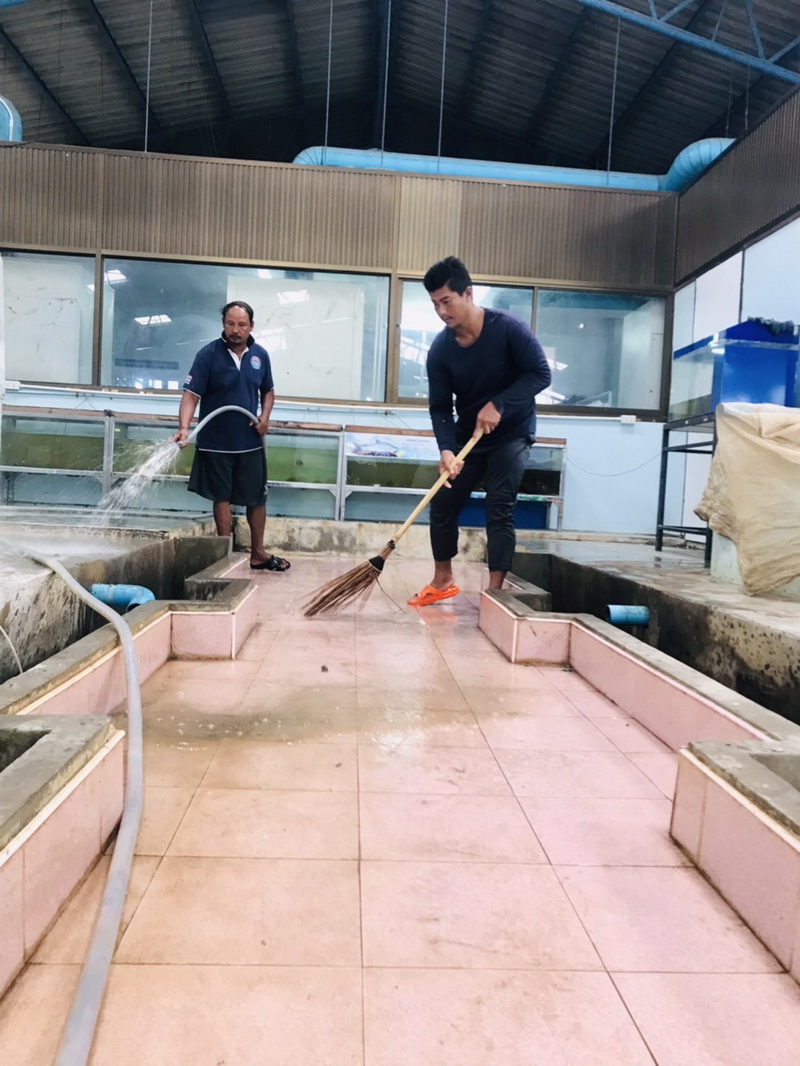 จัดกิจกรรม Big Cleaning Day ณ ศูนย์วิจัยและพัฒนาประมงน้ำจืดพัทลุง..คลิก