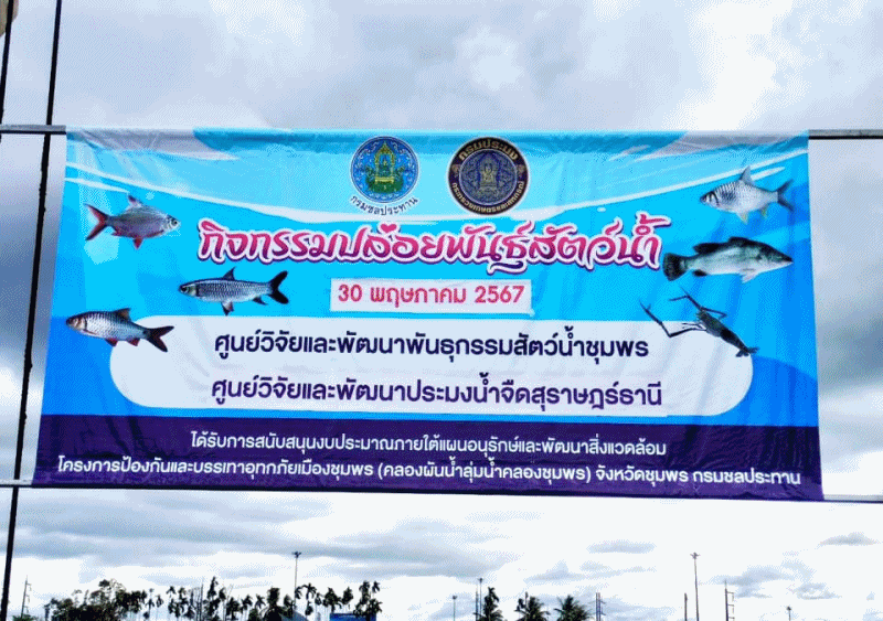 ร่วมกิจกรรมปล่อยพันธุ์สัตว์น้ำ โครงการป้องกันและบรรเทาอุทกภัยเมืองชุมพร (คลองผันน้ำลุ่มน้ำคลองชุมพร) จังหวัดชุมพร..คลิก
