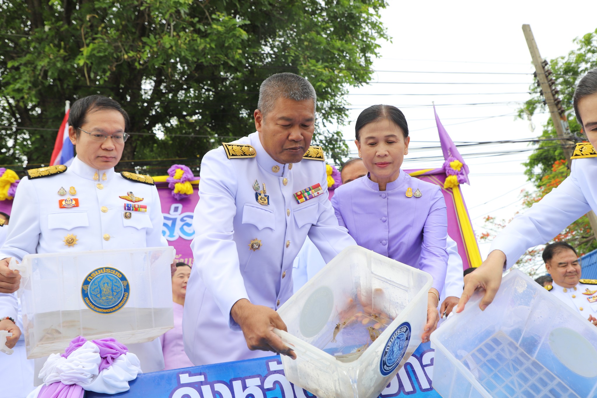 จังหวัดอ่างทอง จัดกิจกรรมเฉลิมพระเกียรติสมเด็จพระนางเจ้าฯ พระบรมราชินี เนื่องในโอกาสวันเฉลิมพระชนมพรรษา 3 มิถุนายน 2567..คลิก