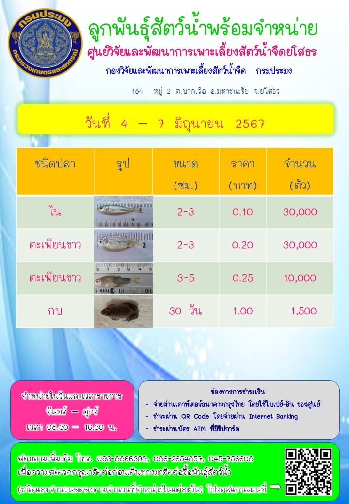 ลูกพันธุ์สัตว์น้ำพร้อมจำหน่าย 4 - 7 มิ.ย. 2567