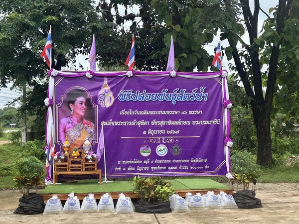 วันจันทร์ที่ 3 มิถุนายน 2567 เวลา 11.00 น. ศูนย์วิจัยและพัฒนาการเพาะเลี้ยงสัตว์น้ำจืดหนองคาย ร่วมกับสำนักงานประมงจังหวัดบึงกาฬ พร้อมด้วยข้าราชการ เจ้าหน้าที่สำนักงานประมงจังหวัดบึงกาฬ ร่วมกับองค์การบริหารส่วนตำบลปากคาด จัดพิธีปล่อยพันธุ์สัตว์น้ำ เนื่องในโอกาสวันเฉลิมพระชนมพรรษา 46 พรรษา สมเด็จพระนางเจ้าสุทิดา พัชรสุธาพิมลลักษณ พระบรมราชินี โดยมี นายจุมพฏ วรรณฉัตรสิริ ผู้ว่าราชการจังหวัดบึงกาฬ ให้เกียรติเป็นประธานในพิธีฯ โดยปล่อยพันธุ์ปลาน้ำจืด จำนวน 200,000 ตัว..คลิก