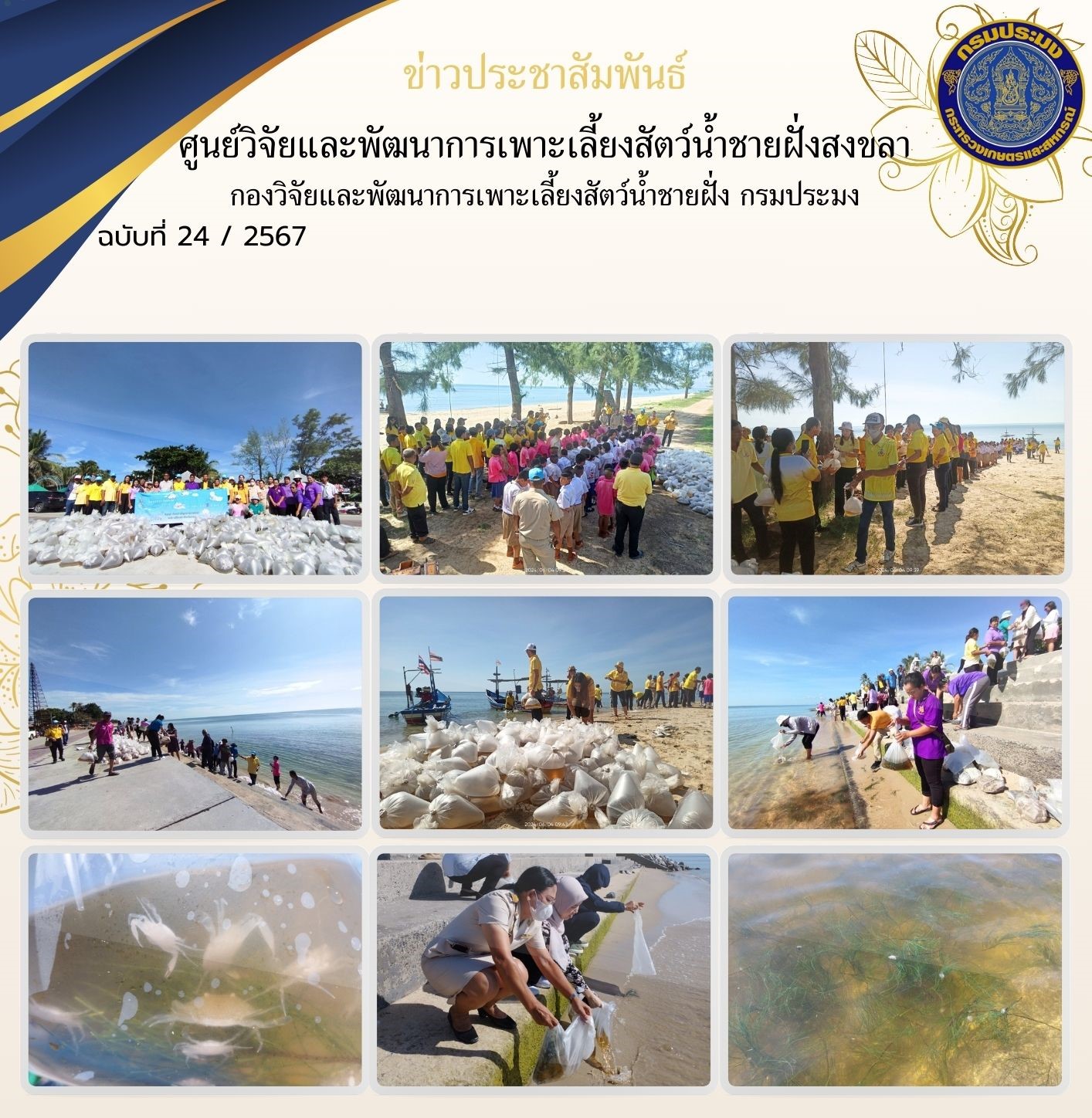  เมื่อวันที่ 4 มิถุนายน 2567 นางสาวปริศนา คลิ้งสุขคล้าย ผู้อำนวยการศูนย์วิจัยและพัฒนาการเพาะเลี้ยงสัตว์น้ำชายฝั่งสงขลา พร้อมด้วยข้าราชการและเจ้าหน้าที่ศูนย์ฯ ส่งมอบพันธุ์กุ้งแชบ๊วย และลูกพันธุ์ปูม้า ให้แก่องค์การบริหารส่วนจังหวัดสงขลา เพื่อปล่อยเฉลิมพระเกียรติ สมเด็จพระนางเจ้าสุทิดา พัชรสุธาพิมลลักษณ พระบรมราชินี เนื่องในโอกาสวันเฉลิมพระชนมพรรษา 3 มิถุนายน 2567..คลิก