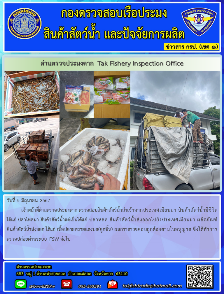วันที่ 5 มิถุนายน 2567           เจ้าหน้าที่ด่านตรวจประมงตาก ตรวจสอบสินค้าสัตว์น้ำนำเข้าจากประเทศเมียนมา สินค้าสัตว์น้ำมีชีวิตได้แก่ ปลาไหลนา สินค้าสัตว์น้ำแช่เย็นได้แก่ ปลาหลด สินค้าสัตว์น้ำส่งออกไปยังประเทศเมียนมา ผลิตภัณฑ์สินค้าสัตว์น้ำส่งออก ได้แก่ เนื้อปลายทรายแดงบด(ลูกชิ้น) ผลการตรวจสอบถูกต้องตามใบอนุญาต จึงได้ทำการตรวจปล่อยผ่านระบบ FSW ต่อไป..คลิก