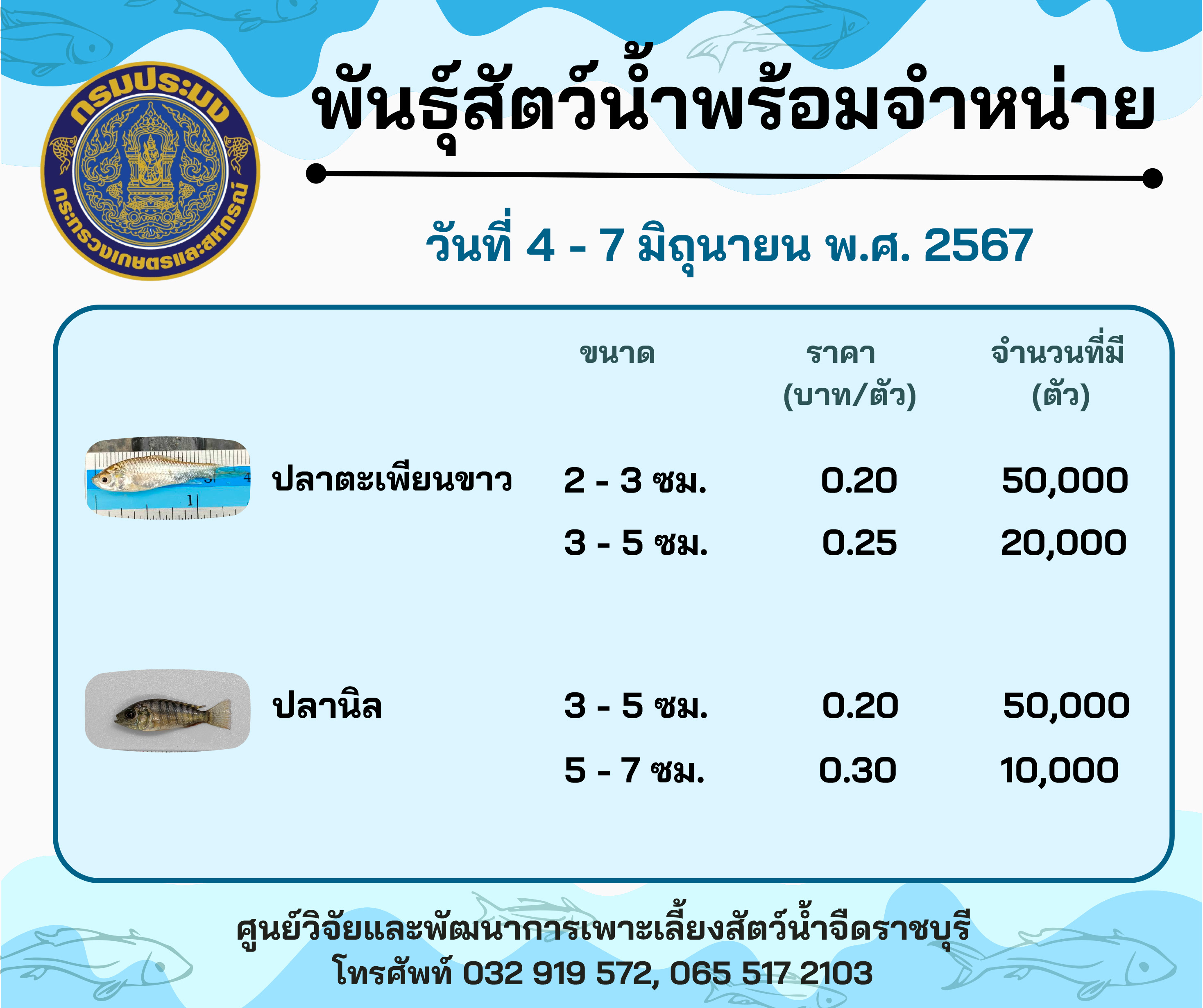 ลูกพันธุ์สัตว์น้ำพร้อมจำหน่ายสัปดาห์นี้ วันที่ 4 - 7 มิถุนายน พ.ศ. 2567..คลิก