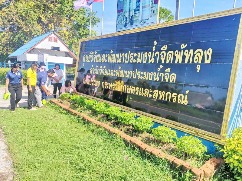 จัดกิจกรรมเนื่องในวันต้นไม้ประจำปีของชาติ พ.ศ.2567..คลิก
