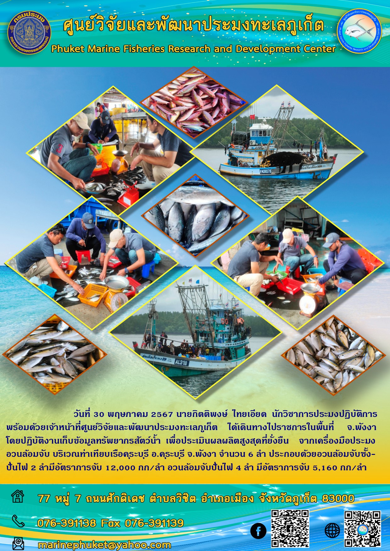 วันที่ 30 พฤษภาคม 2567 นายกิตติพงษ์ ไทยเอียด นักวิชาการประมงปฏิบัติการพร้อมด้วยเจ้าหน้าที่ศูนย์วิจัยและพัฒนาประมงทะเลภูเก็ต ได้เดินทางไปราชการในพื้นที่จ.พังงาโดยปฏิบัติงานเก็บข้อมูลทรัพยากรสัตว์น้ำ เพื่อประเมินผลผลิตสูงสุดที่ยั่งยืน จากเครื่องมือประมงอวนล้อมจับ บริเวณท่าเทียบเรือคระบุรี อ.ดระบุรี จ.พังงา จำนวน 6 ลำ ประกอบด้วยอวนล้อมจับซั้ง-ปั่นไฟ 2 ลำมีอัตราการจับ 12,000 กก/ลำ อวนล้อมจับปั่นไฟ 4 ลำ มีอัตราการจับ 5,160 กก/ลำ ฯลฯ..คลิก