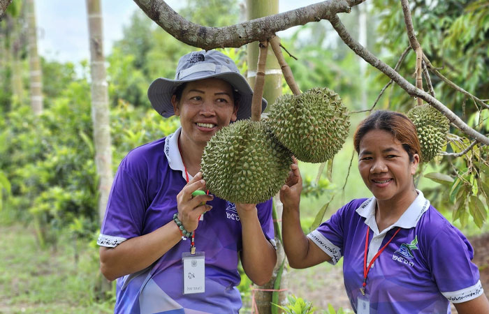 โครงการพัฒนาเบ็ดเสร็จลุ่มน้ำสาขาแม่น้ำปิงฯ ต.ป่าเมี่ยง อ.ดอยสะเก็ด จ.เชียงใหม่ ศึกษา เรียนรู้ ณ ศูนย์เรียนรู้ตามแนวพระราชดำริ (บ้านไร่นายชาม)..คลิก