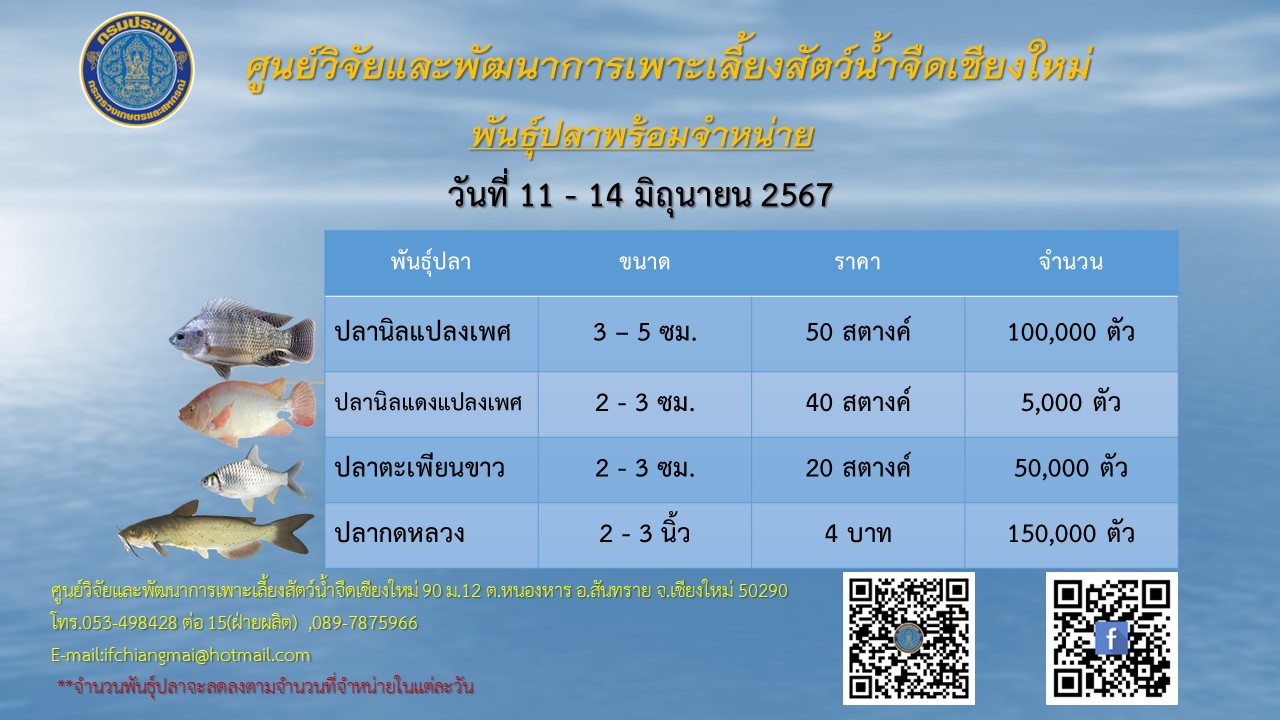 พันธุ์ปลาพร้อมจำหน่าย วันที่ 11-14 มิถุนายน 2567