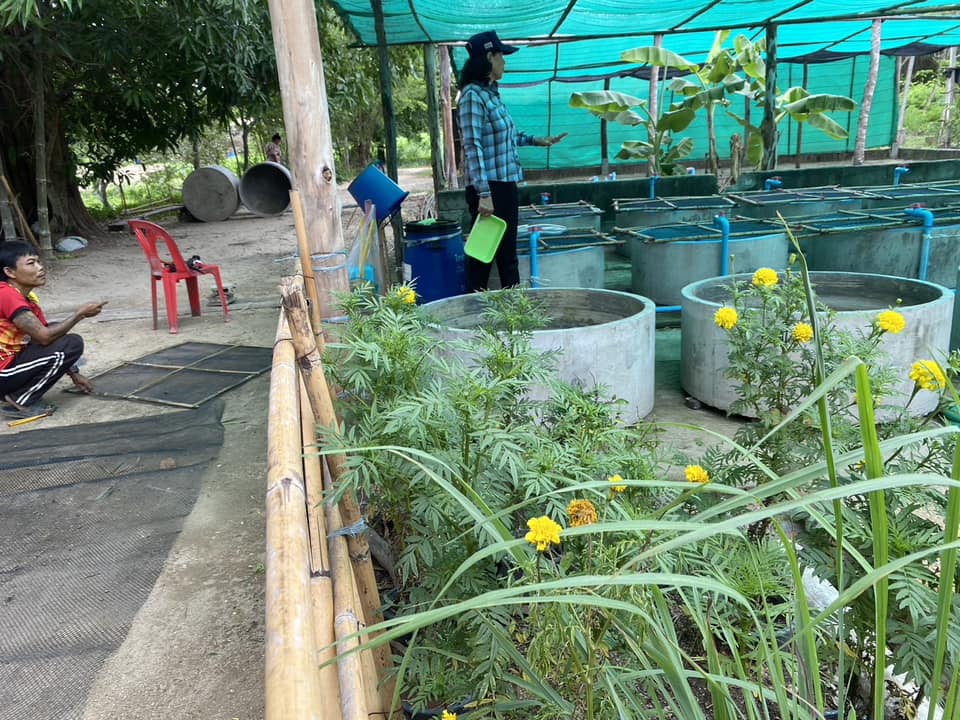 ลงพื้นที่ฟาร์มตัวอย่างตามแนวพระราชดำริบ้านบ่อหวี