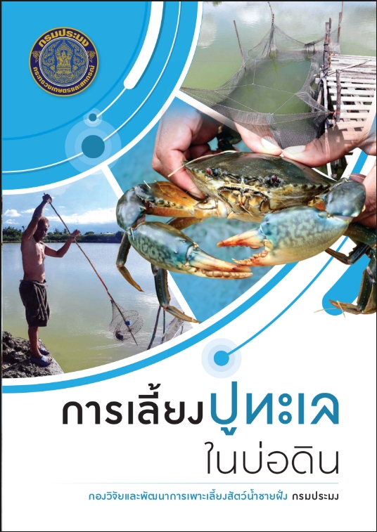 การเลี้ยงปูทะเลในบ่อดิน กรมประมง