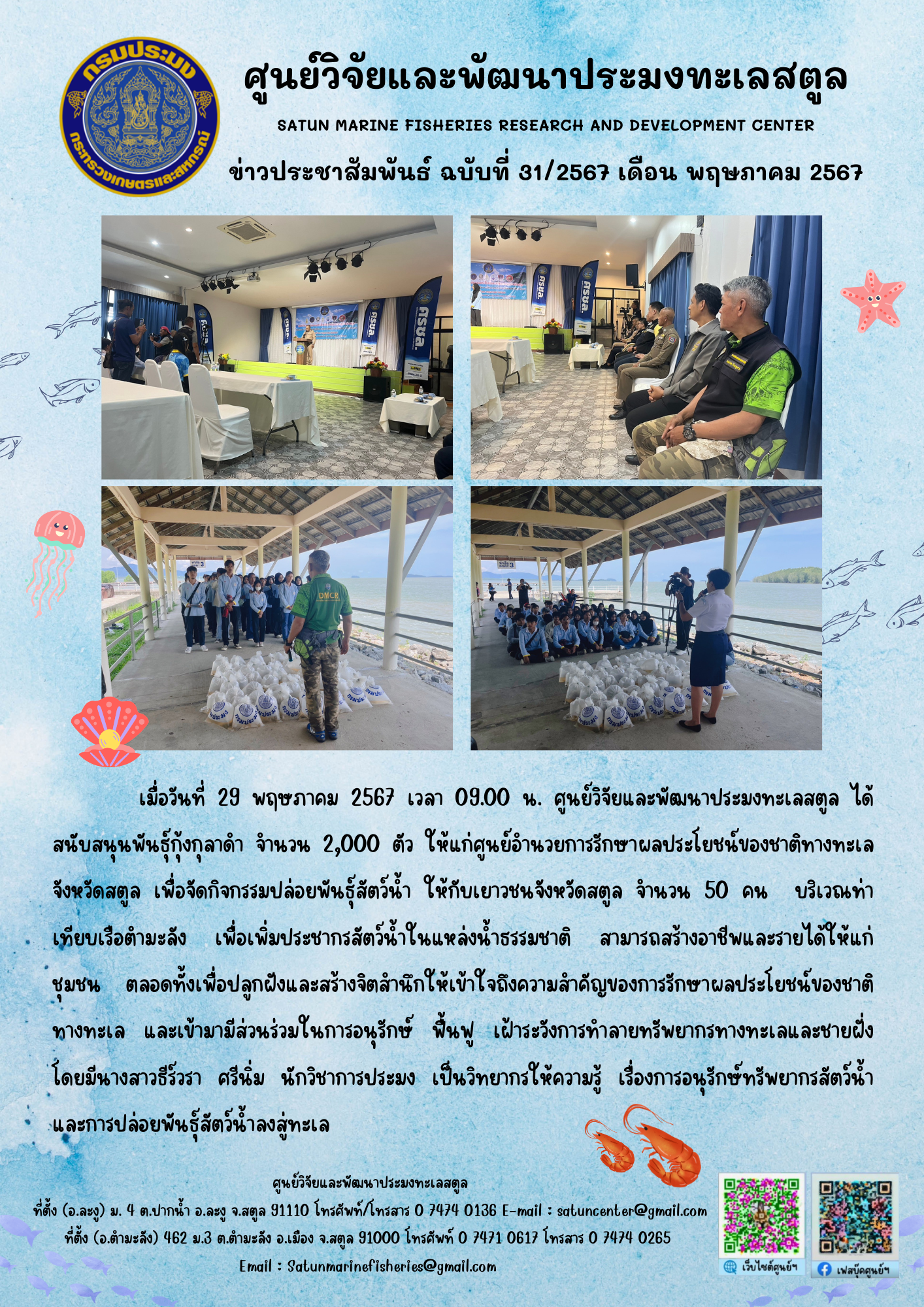 เมื่อวันที่ 29 พฤษภาคม 2567 เวลา 09.00 น. ศูนย์วิจัยและพัฒนาประมงทะเลสตูล ได้สนับสนุนพันธุ์กุ้งกุลาดำ จำนวน 2,000 ตัว ให้แก่ศูนย์อำนวยการรักษาผลประโยชน์ของชาติทางทะเล จังหวัดสตูล เพื่อจัดกิจกรรมปล่อยพันธุ์สัตว์น้ำ ให้กับเยาวชนจังหวัดสตูล จำนวน 50 คน บริเวณท่าเทียบเรือตำมะลัง เพื่อเพิ่มประชากรสัตว์น้ำในแหล่งน้ำธรรมชาติ สามารถสร้างอาชีพและรายได้ให้แก่ชุมชน ฯลฯ..คลิก