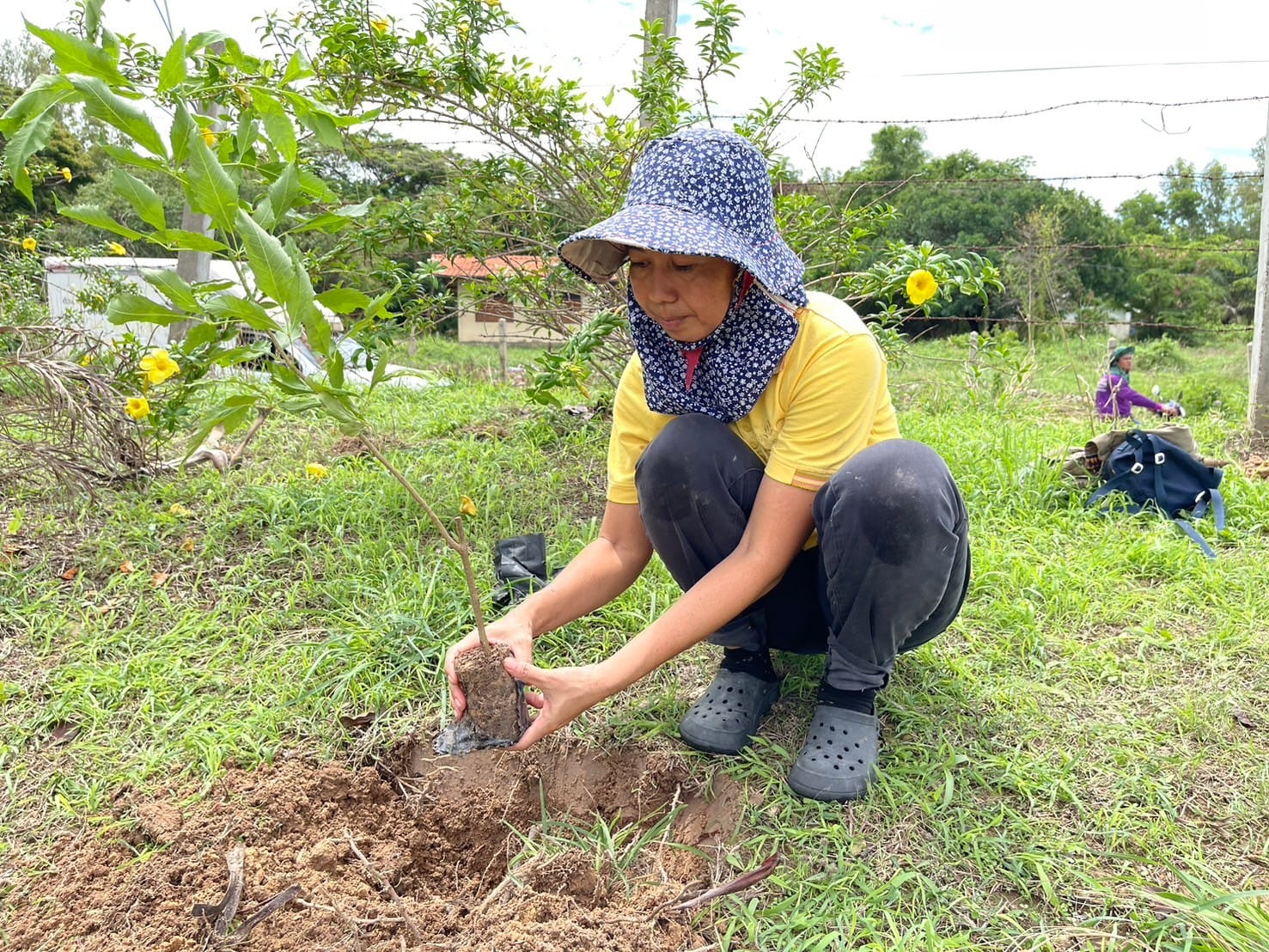 ข่าวประชาสัมพันธ์ประจำวันที่ 24 พฤษภาคม 2567 ศูนย์วิจัยและพัฒนาการเพาะเลี้ยงสัตว์น้ำจืดศรีสะเกษ ฉบับที่ 127
