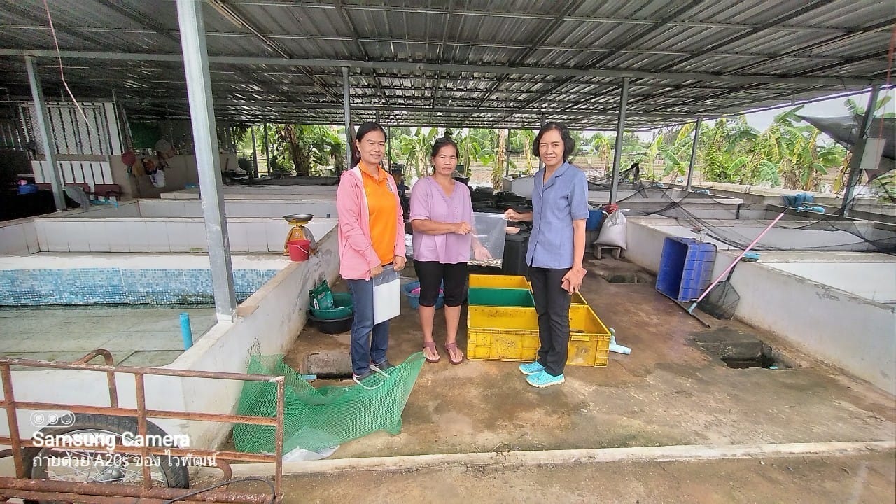 ข่าวประชาสัมพันธ์ประจำวันที่ 20-21และ 23-24 พฤษภาคม 2567 ศูนย์วิจัยและพัฒนาการเพาะเลี้ยงสัตว์น้ำจืดศรีสะเกษ ฉบับที่ 128