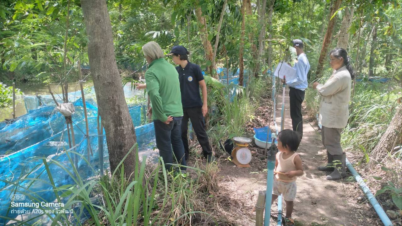 ข่าวประชาสัมพันธ์ประจำวันที่ 7 มิถุนายน 2567 ศูนย์วิจัยและพัฒนาการเพาะเลี้ยงสัตว์น้ำจืดศรีสะเกษ ฉบับที่ 134..คลิก
