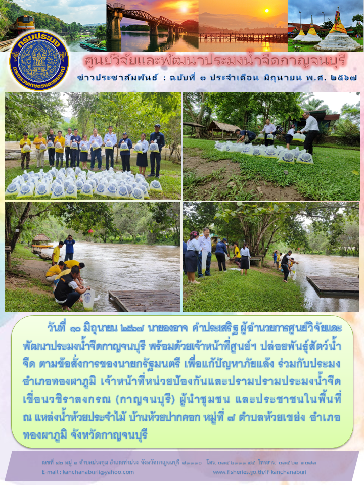 ศูนย์วิจัยและพัฒนาประมงน้ำจืดกาญจนบุรี ปล่อยพันธุ์ปลาน้ำจืด ตามข้อสั่งการของนายกรัฐมนตรี เพื่อแก้ปัญหาภัยแล้ง..คลิก